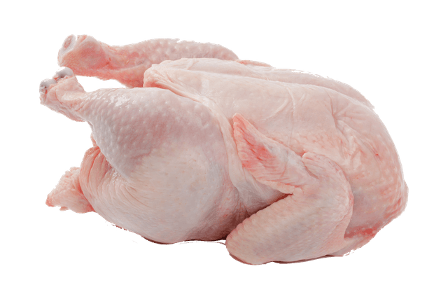 Chicken Meat